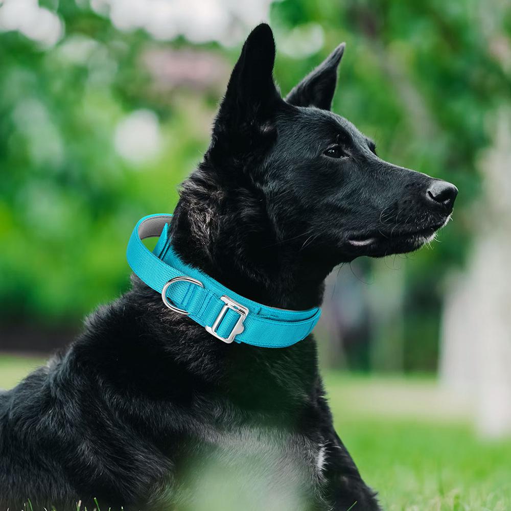 Военный тактический ошейник для собак с ручкой, прочный нейлоновый ошейник для дрессировки домашних животных, быстрый контроль для средних и больших собак, французский бульдог