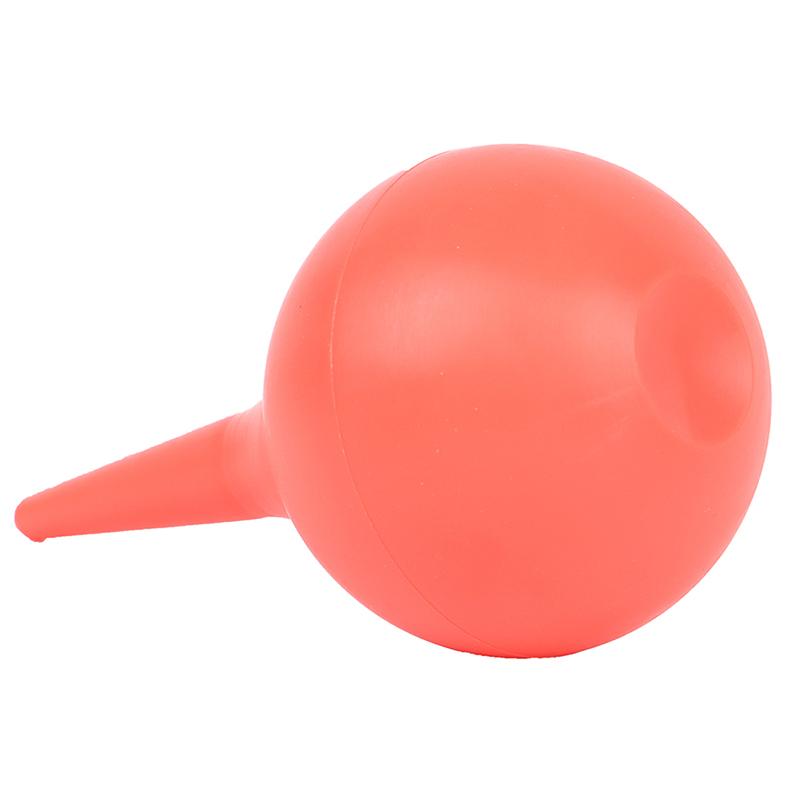 Выдувание воздушного шара Камера Компьютерная очистка от пыли Выдувание пылевого шара Суккулентное растение Воздушный выдувной шар