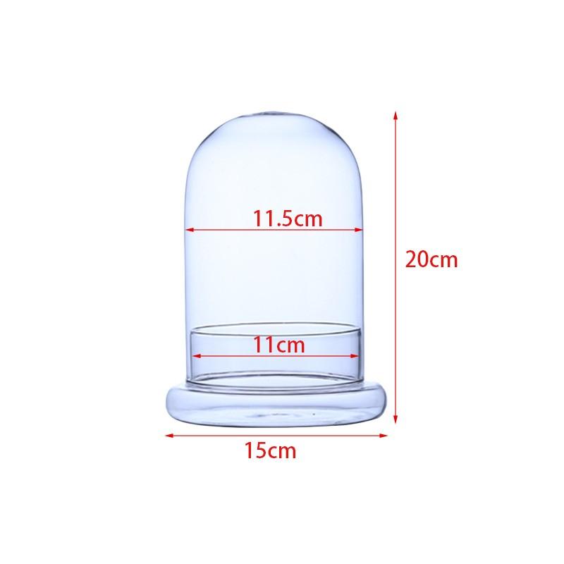 Clear Glass Dome with Airhole Glass Cloche Bell Jar with Base Home Tabletop Display Plant Flower Terrarium Container Home Decor