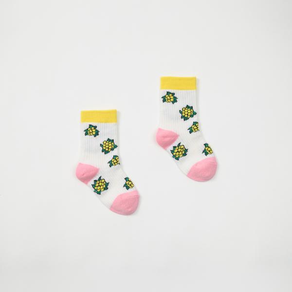 Fruit Set, y1s22Mb002-7000010453