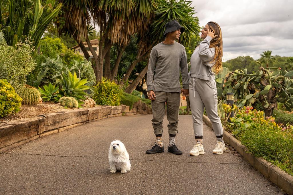 Собаки - цветные носки 36-39