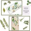 Accessories for Art Craft dried flowers resin accessory Artificial Decorations Dried Pressed Leaves