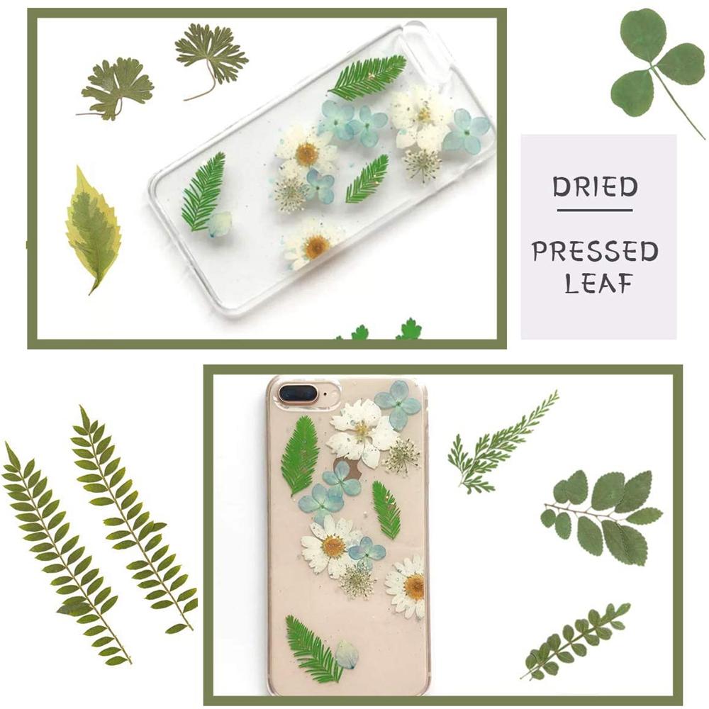 Accessories for Art Craft dried flowers resin accessory Artificial Decorations Dried Pressed Leaves