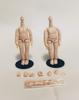 Doll Collectibles 11cm Body White Skin Matte Skin Set of 2 with Magnets New Edition OB11 Self-Standing