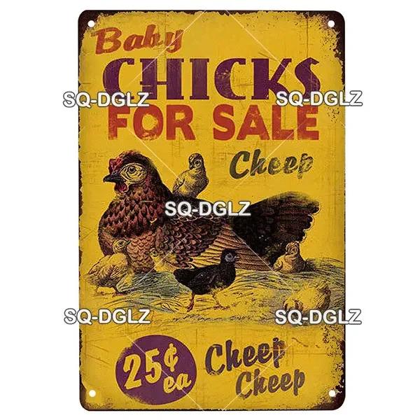 Chicken Zone Metal Sign Vintage Metal Plaque Plates Decor For Pub Bar Garden Wall Decor Tin Signs Fresh Eggs Poster