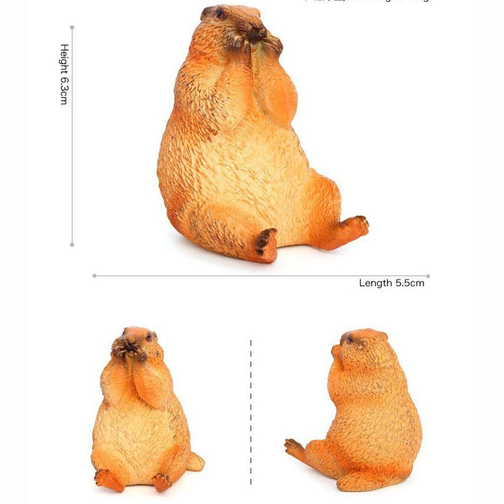 Фигурка дикого животного Marmot Искусственное украшение Пластиковая фигурка сурка Дом