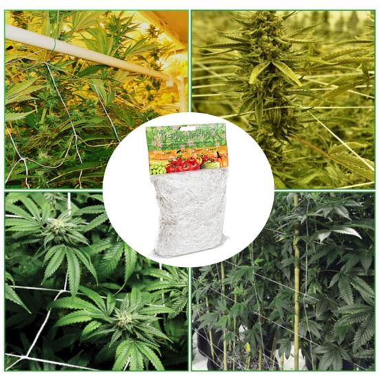 Сетка для поддержки огуречной лозы