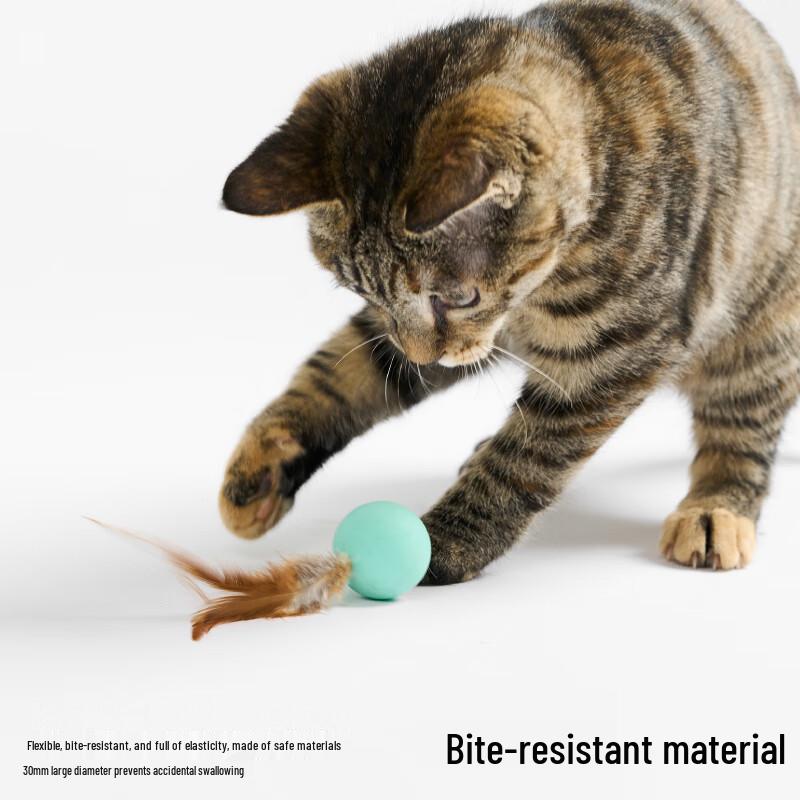 Pidan Cat Bouncy Balls (3-Pack)