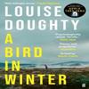 A Bird In Winter by Louise Doughty Paperback Book 9780571322190