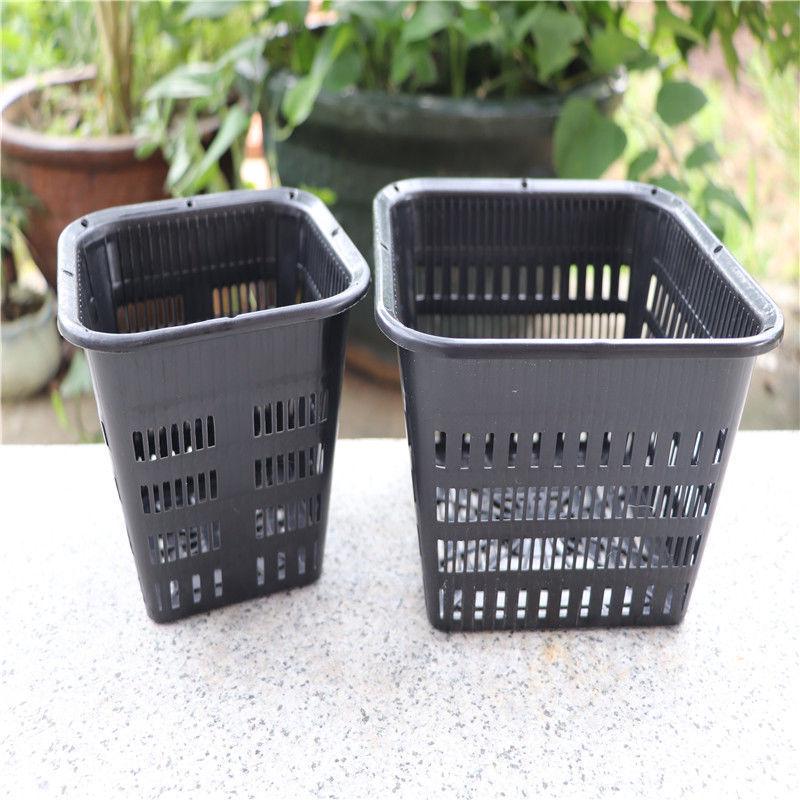 Thickened Square Plastic Planter for Phalaenopsis Root Control and Hydroponic Cultivation