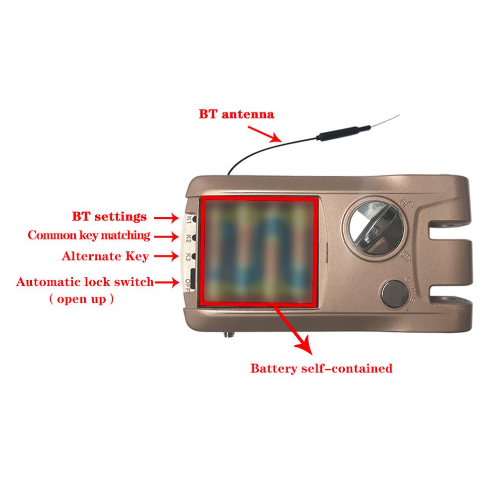 Remote Control Door Lock Home Security Double Anti-Theft Smart Lock App and BT Unlocking Wireless