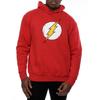 DC Comics Mens Flash Distressed Logo Hoodie