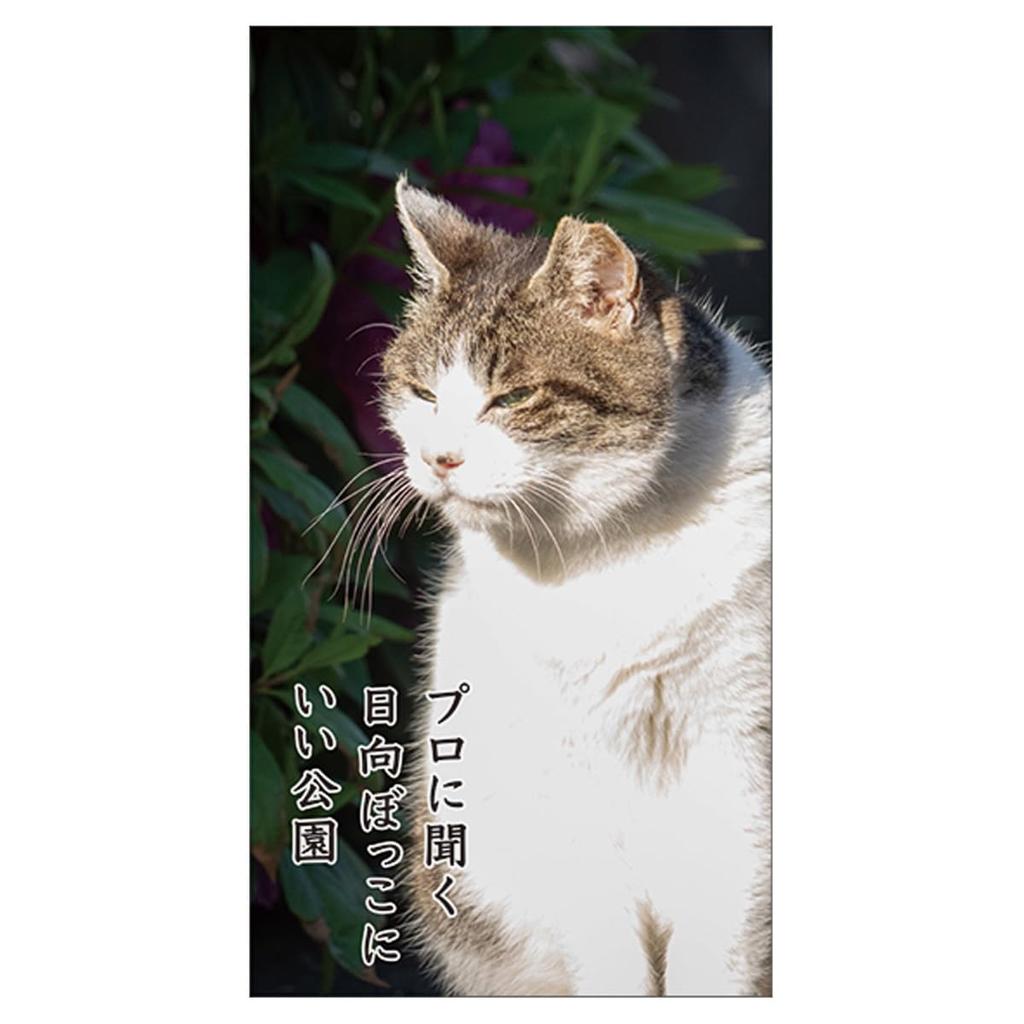 2025 Кот Сенрю (рабочий стол) Календарь №030