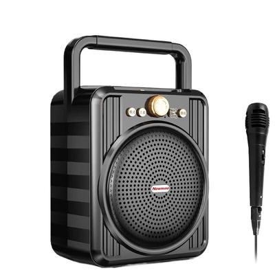 Портативная Bluetooth-колонка Newmine M56 с проводным микрофоном и радио, штекер CN (адаптер в комплекте)