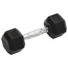 VidaXL Dumbbells 2 Pcs 10 Kg Total Cast Iron, Dumbbell Set, Hex Dumbbell, Weight Plate, Weight Bar 93601