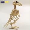 Crazy Bone Skeleton Raven Plastic Animal Skeleton Bones Horror Halloween Decoration Halloween Prop Bird Crow Skeleton Decoration