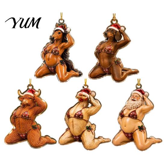 Novelty Christmas Tree Accessories 5 Pcs Quirky Bikini Ornament, Funny 2D Acrylic Santa Claus Horse Clear Printed Baubles Dachshund Highland