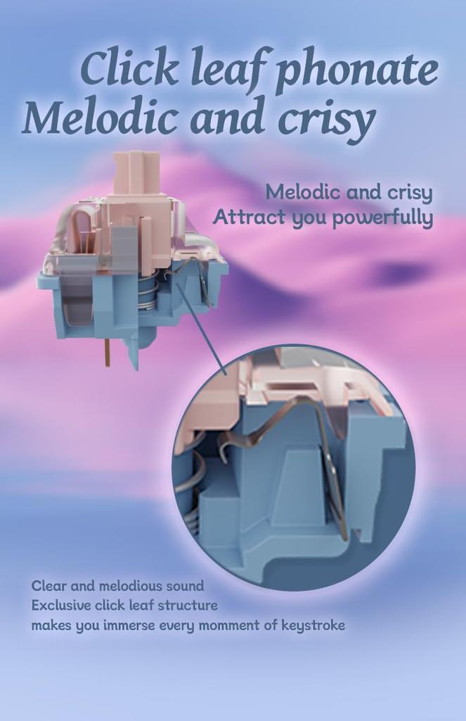 GATERON Melodic Melodic Keyboard Clicky RGB LED 5 Pin Factory Lubricated 60gf Key Switch for MX Mechanical Keyboard Switch, (35PCS)