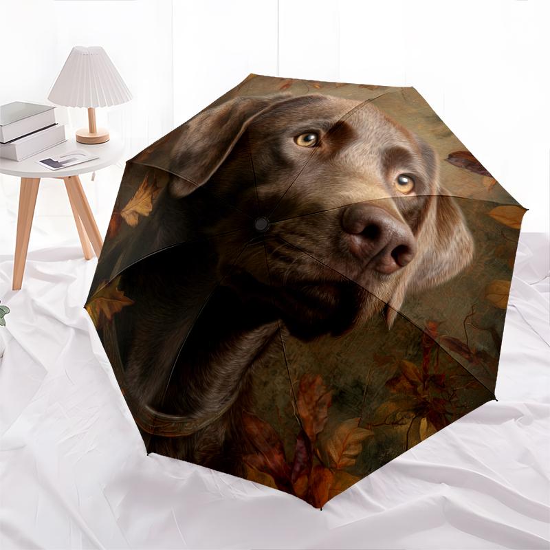 Рисунок лабрадора ретривера черного окраса, автоматический складной зонт, портативная и складная конструкция, 8 спиц, рождественский или день рождения подарок.