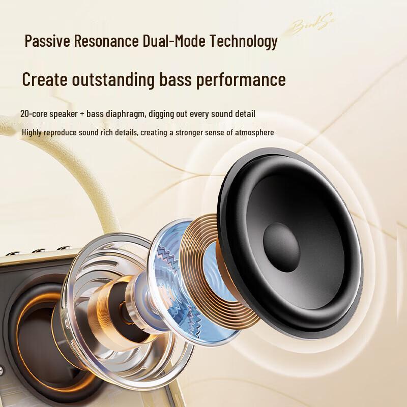 Dianyin SongBird-SE Karaoke Bluetooth Speaker with Dual Mics