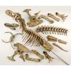 EDU-TOYS 51-Piece Dinosaur Craft Kit, Tyrannosaurus Rex VT026