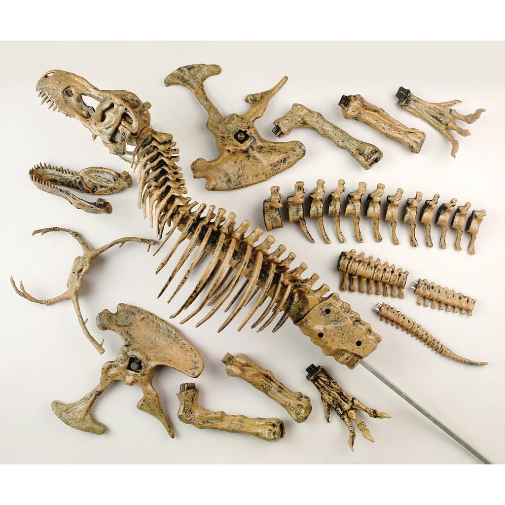 EDU-TOYS 51-Piece Dinosaur Craft Kit, Tyrannosaurus Rex VT026