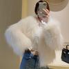 New Imitation Fur Coat, Female Imitation Fox Hair, Raccoon Hair, Imitation Autumn and Winter Thickened Temperament Light