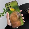 Phone Case for Samsung Galaxy A35 A55 A54 A15 A25 A05s A05 A22 A24 A52 A33 A34 M34 M14 M54 M23 Pet Animal Capybara Case