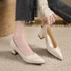 Women's Shoes Spring and Autumn 2025 New Professional Pointed High Heels Women's Middle Heel Baida Shallow Mouth One Pedal Thick Heel Single Shoes