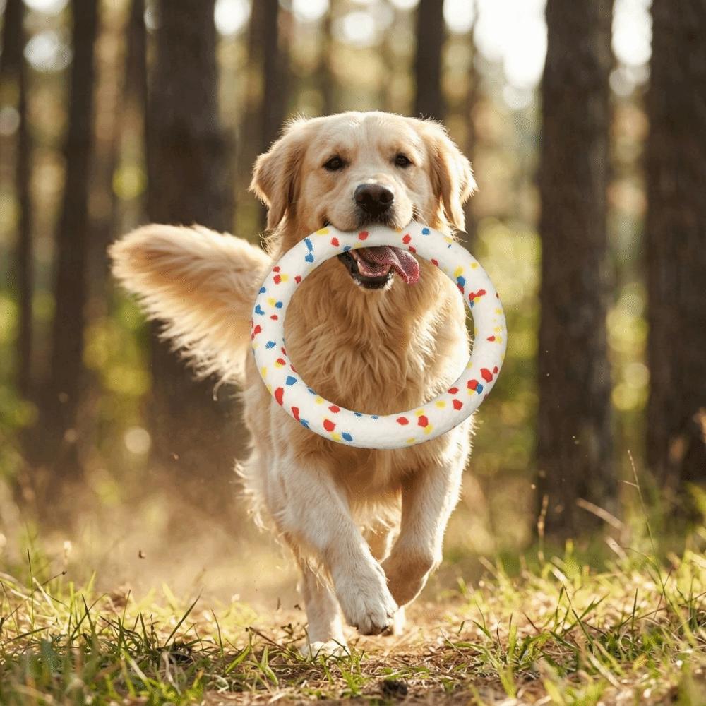 Solid Elastic Pet Chew Toy Colorful Pull Ring Dog Molar Ring  Pet Mood Calming
