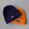 Dickies Exclusive CALIF Beanie with Logo Patch Knit Watch 874 [Dickies] Rib-Knit - Cap, Cap, Hat, Men's, Women's, Unisex, Acrylic, Plain, (Free Size,