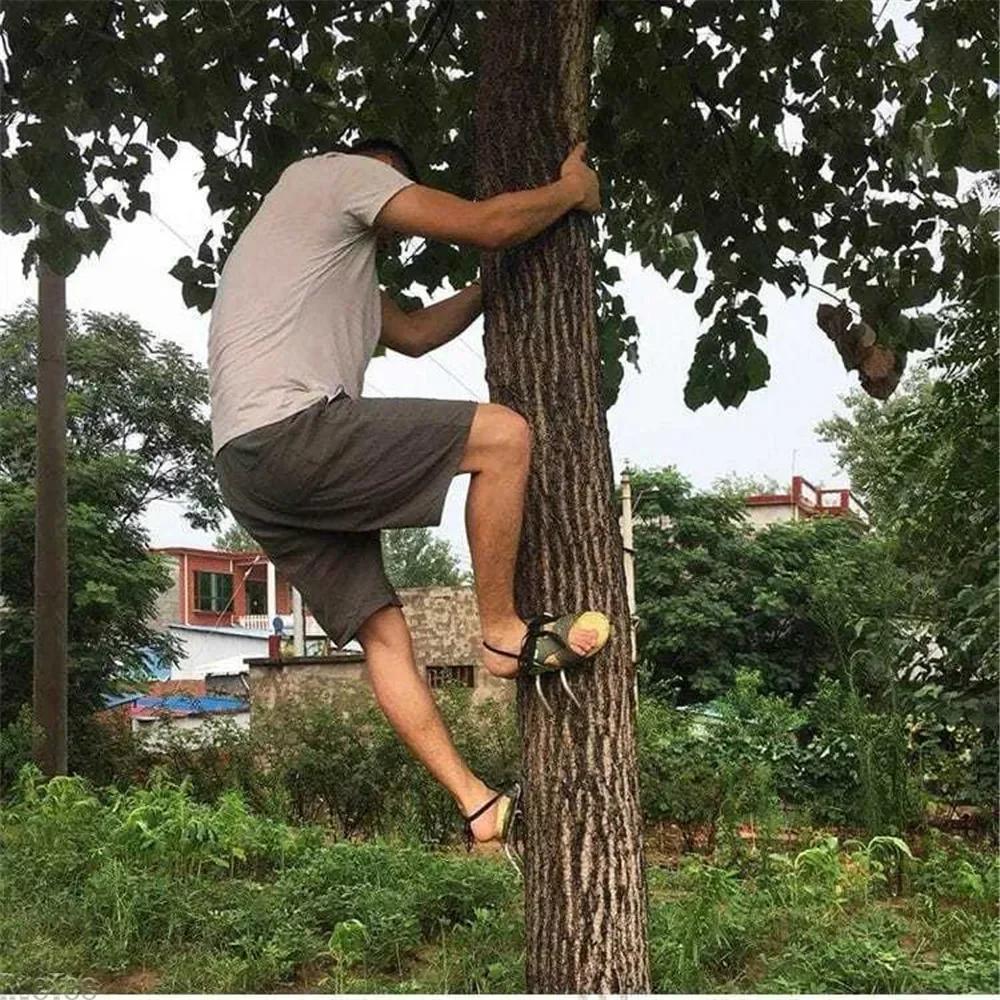 Инструмент для лазания по деревьям Шипы для лазания по столбам для охотничьей обуви Дерево Сталь Лазание Простой Сбор Наблюдение Фруктовый Инструмент Аксессуары