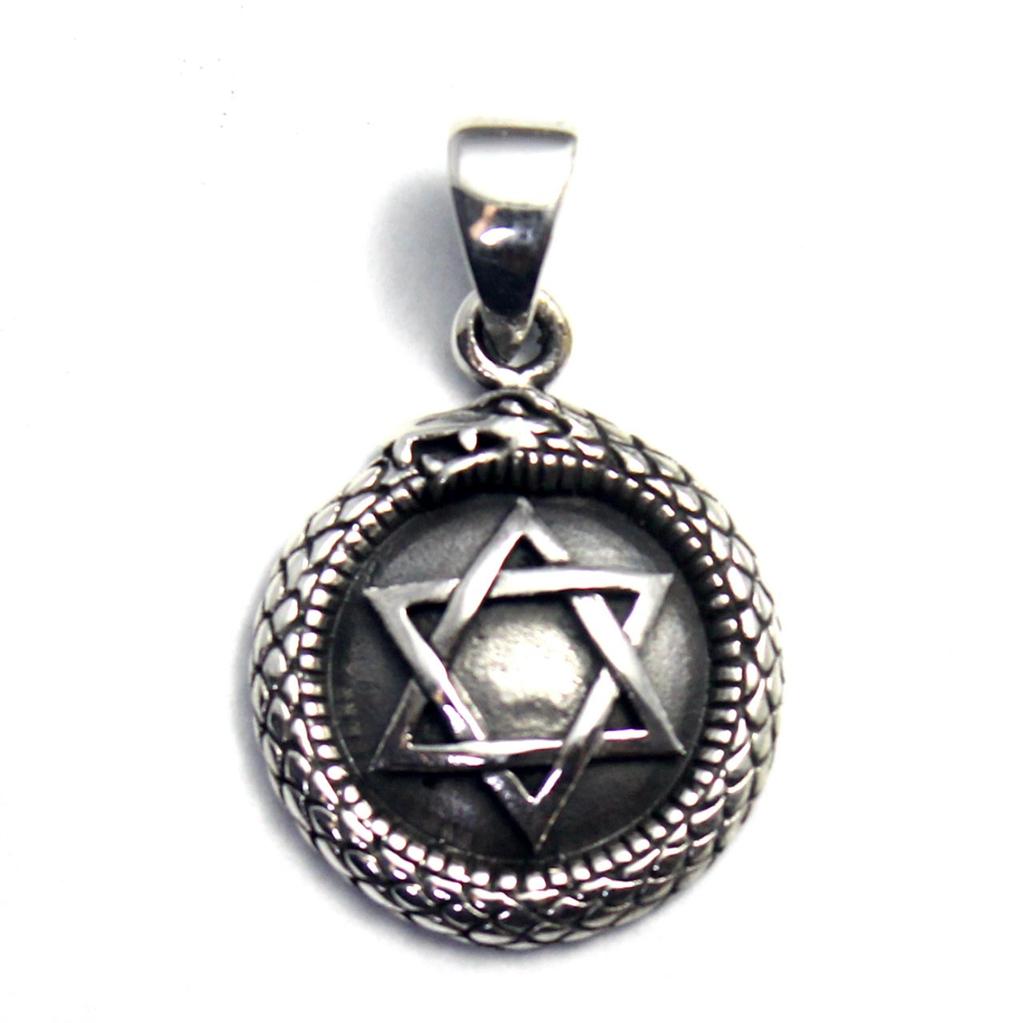 Hexagram Snake Reptile Pendant Pendant Top Silver 925