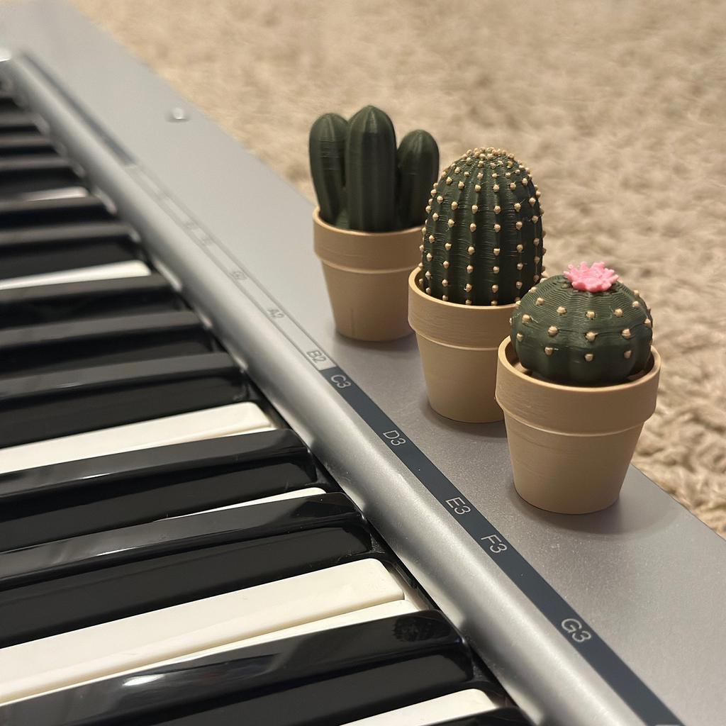 3D Printing Cactus Potted Ornaments for Home Decorations Green Plant Decompression Toys for Relaxation & Decor