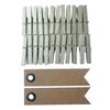 24 Mini Silver Clothespins + 20 Pennant Kraft Labels