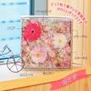 Apron Selection Preserved Flower Box (Sakura) - Perfect for Celebrations, Pink, Made in Japan by a Floral Arranger