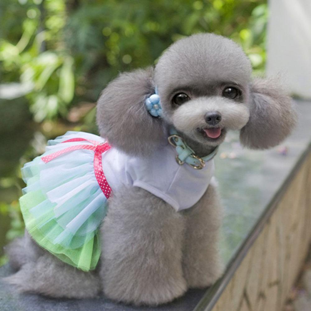 Puppy Pets Apparel Kiss Me Princess Dress Cotton Lace Tutu Skirt Small Dog Cat Dress Pet Clothes