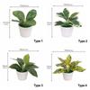 Desktop Ornament Lifelike Greenery Potted Simulation Scindapsus Faux Grass Artificial Plants Bonsai