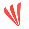 12 PCS 3 Inches Feather DIY Arrow Fletching Accessories for Archery Hunting Shooting(Red)