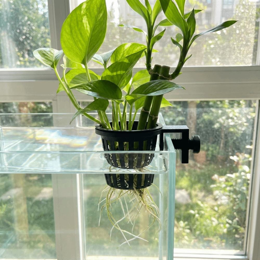 Soilless Cultivation Aquarium Plant Holder Screw Clamp/Suction Cup Aquarium Planter Cups Aquarium