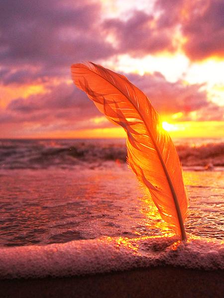 5D DIY алмазная живопись закат набор для вышивки крестом Алмазная вышивка перо мозаика пейзаж распродажа картина стразы искусство