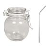Glass Jar with Lid + 4 Stainless Steel Straws