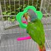 Flower Shape Bird Mirror Perch Plastic Material Colorful Design Bird Cage Mirror Standing Structure Acrylic Material