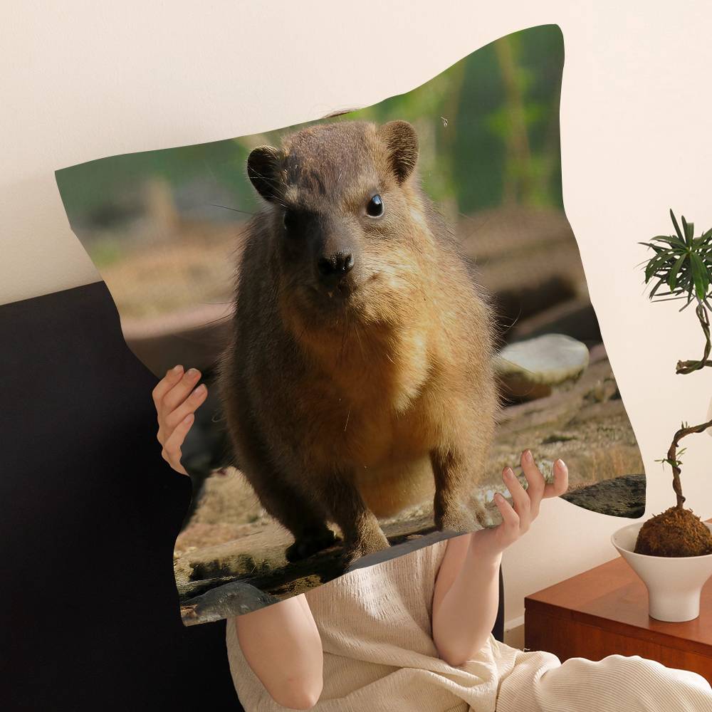 Rock Hyrax Animal Cushion Cover Pillow Cover Decor Pillowcase Printed Cushion Case for Couch