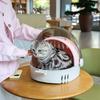 Рюкзаки-переноски для домашних животных Сетчатые Вентиляционная система Удобная Сумка для путешествий кошек Для использования на открытом воздухе