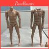 Scale Male 16 Nude Body Muscular Mans Action Figure For Tc Dragon Toy Soldier