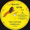 7-дюймовая пластинка SUBZULU - Future / Dub The Future RAM702 Roots Addis Muz 2018 UK Регги, Ска и Даб