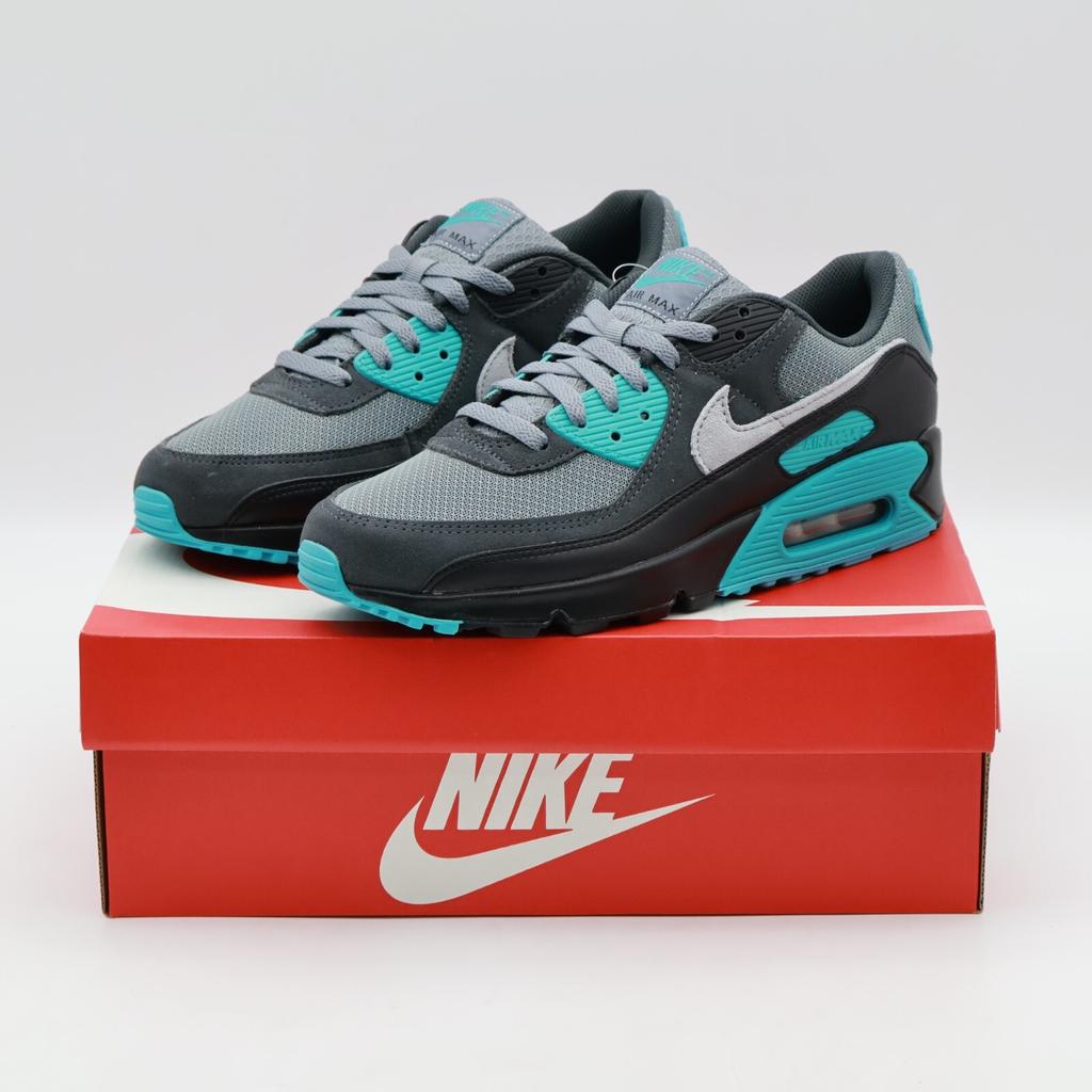 DM0029-013 Nike Air Max 90 Cool Grey Wolf Grey Dusty Cactus (Мужской)
