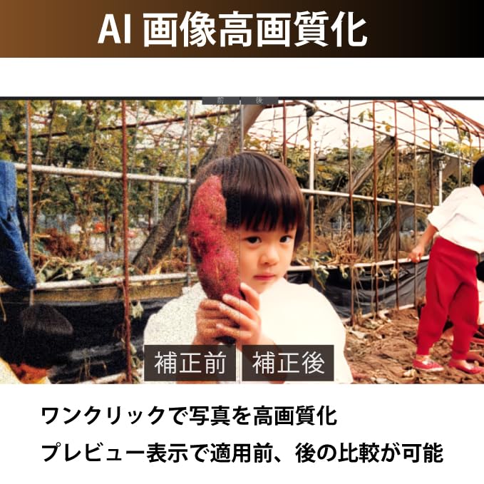 PhotoDirector 2025 Ultra Standard Edition Image Editing Software Color Correction AI Features Perpetual License Windows Compatible