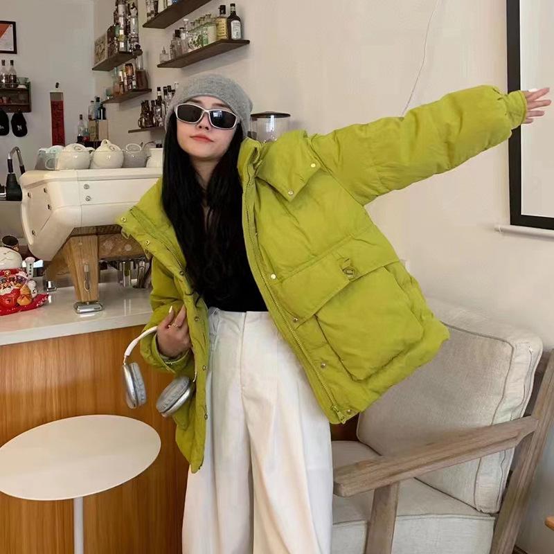 Winter down jacket women's short 2024 new fashion hooded literary and warm white duck down thin design pocket